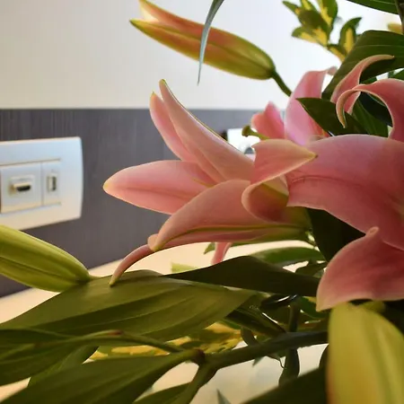 Del Prado Ξενοδοχείο με διαμερίσματα 4*