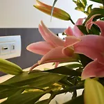 Del Prado Aparthotel 4*